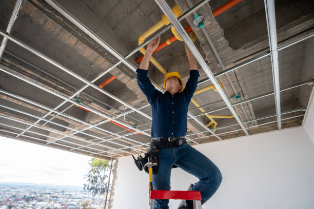 Best Clogged Drain Plumber  in Starbuck, MN