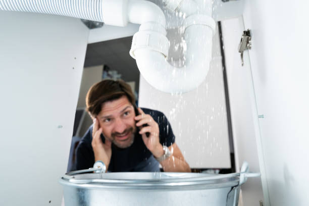  Starbuck, MN Plumbing Pros