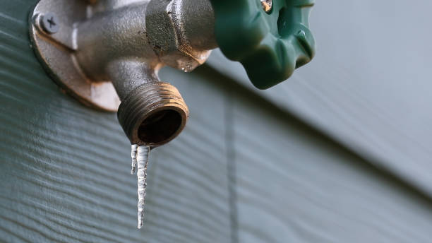 Shower Repair Services in Starbuck, MN